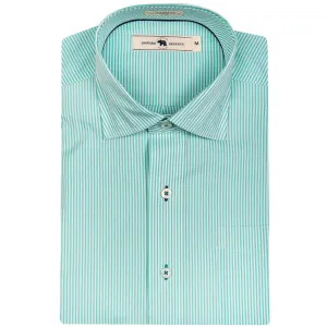 Biscay/White Stripe Tailored Fit Spread Collar Shirt