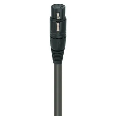 Wireworld Equinox 8 XLR Audio Interconnect Cable